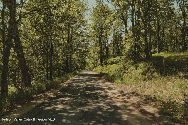 0 Benton Hollow Rd, Liberty, NY 12754 - photo 13