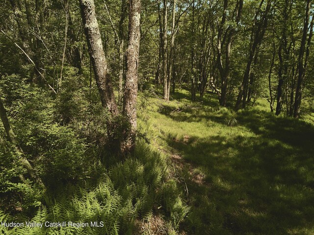 0 Benton Hollow Rd, Liberty, NY 12754 - photo 5