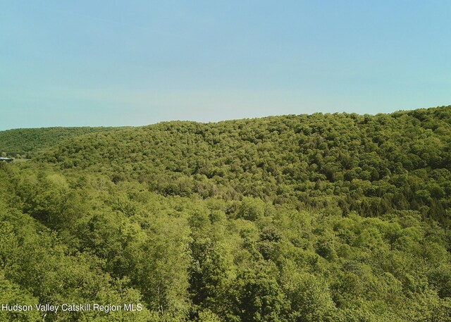 0 Benton Hollow Rd, Liberty, NY 12754 - photo 15
