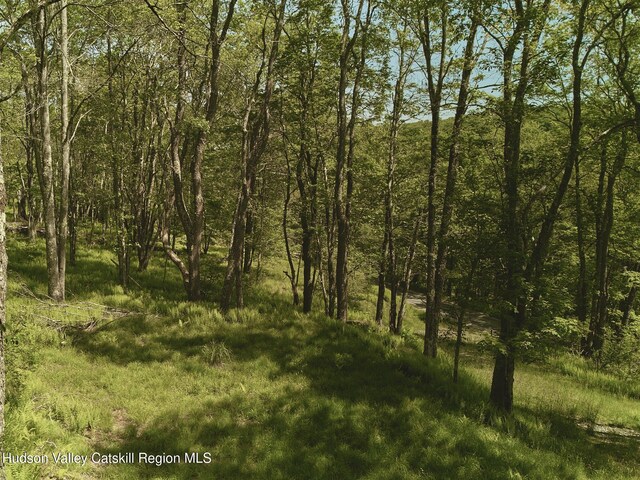 0 Benton Hollow Rd, Liberty, NY 12754 - photo 10