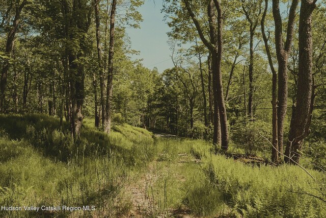 0 Benton Hollow Rd, Liberty, NY 12754 - photo 6