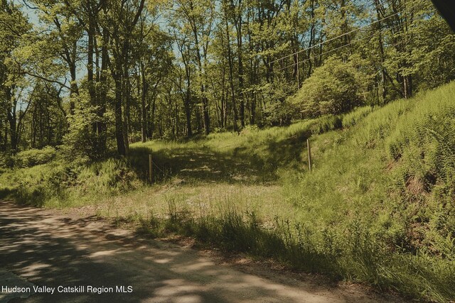 0 Benton Hollow Rd, Liberty, NY 12754 - photo 12