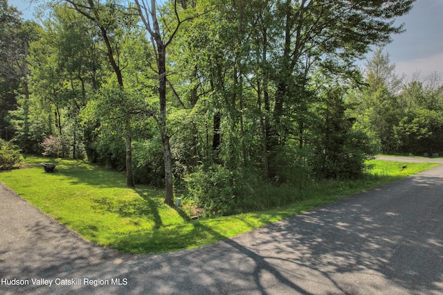 986 Sleepy Hollow Rd, Coxsackie, NY 12051 - photo 2