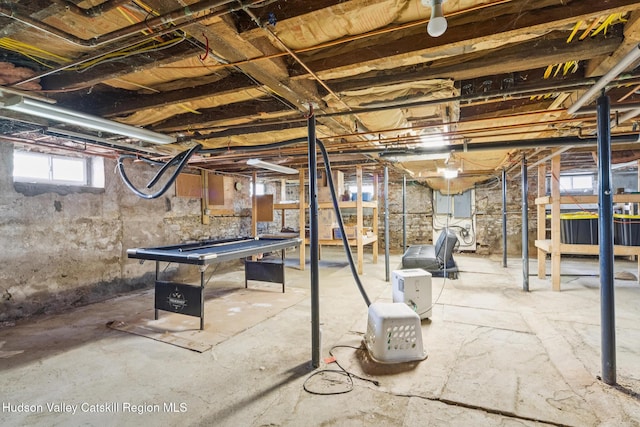 272 Main St, Middleburgh, NY 12122 - view of below grade area
