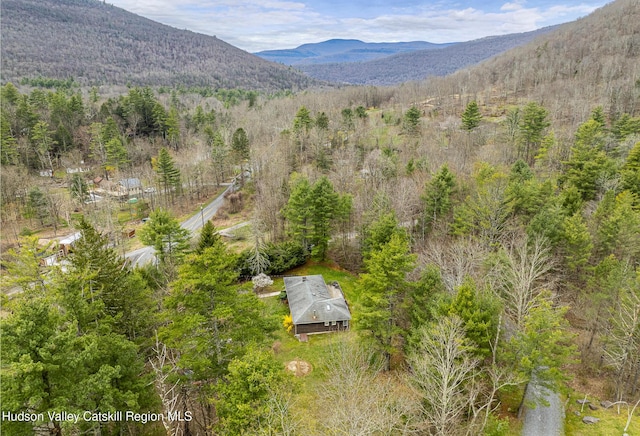 drone / aerial view with a mountain view