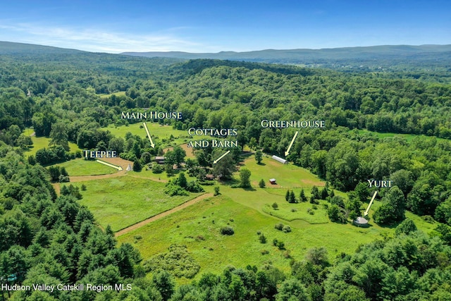 71 Stony Kill Rd, Accord, NY 12404 - photo 3