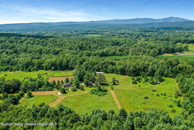 71 Stony Kill Rd, Accord, NY 12404 - photo 64