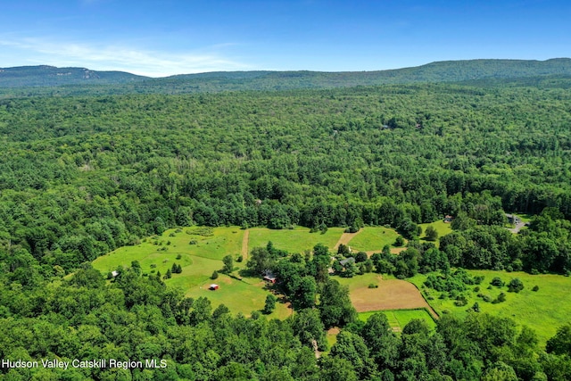 71 Stony Kill Rd, Accord, NY 12404 - photo 69