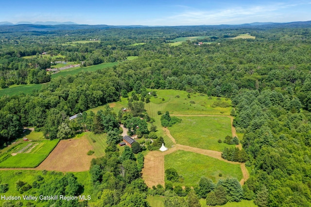 71 Stony Kill Rd, Accord, NY 12404 - photo 66