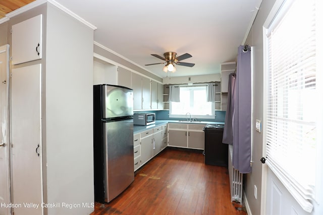 kitchen featuring dark wood-type flooring, sink, ceiling fan, ornamental molding, and appliances with stainless steel finishes