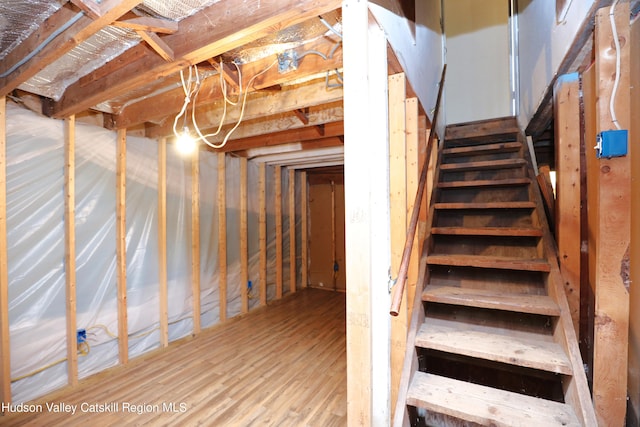 basement with hardwood / wood-style floors