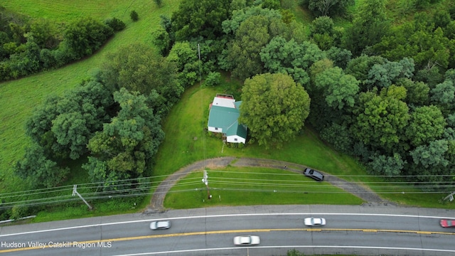 bird's eye view