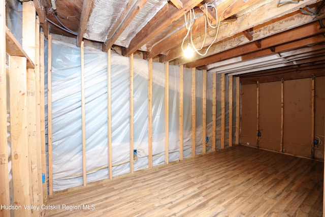 basement with hardwood / wood-style floors