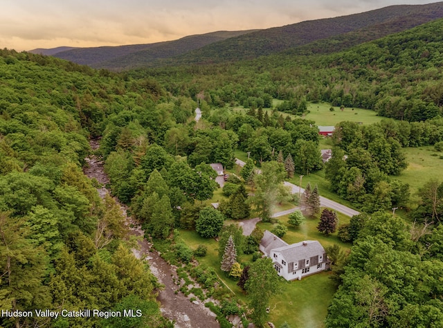 bird's eye view with a mountain view and a forest view