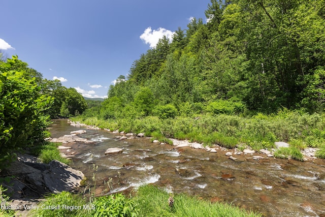 161 Spruceton Rd, West Kill, NY 12492 - photo 35
