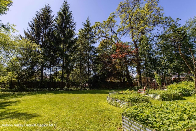 2 Malden Ave, Saugerties, NY 12477 - view of yard featuring a garden