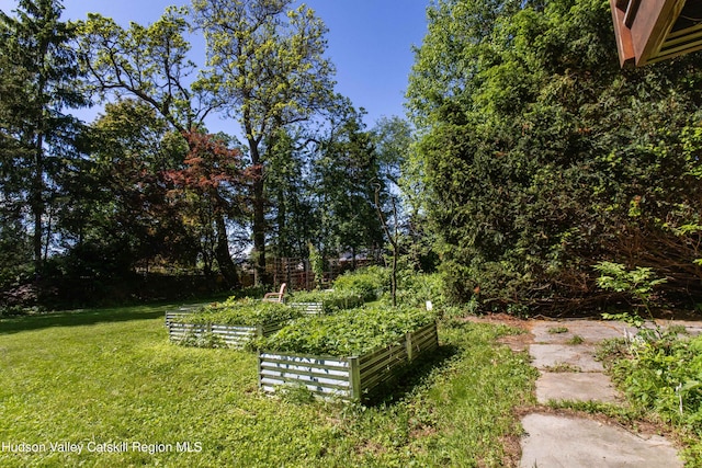 2 Malden Ave, Saugerties, NY 12477 - view of green lawn featuring a vegetable garden