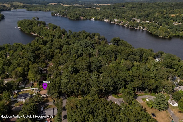 17 Beach Ave, Niverville, NY 12130 - photo 24
