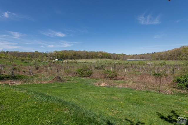 1536 State Route 213, Marbletown, NY 12440 - view of yard
