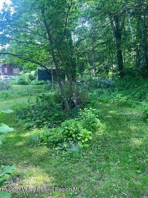 40 N Mountain, Copake Falls, NY 12517 - view of nature