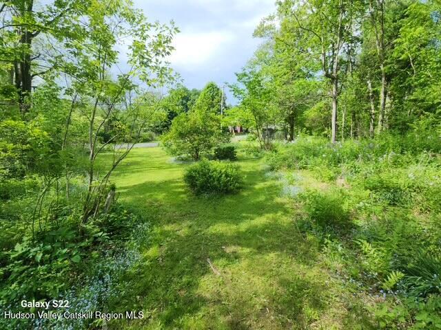 40 N Mountain, Copake Falls, NY 12517 - view of undeveloped land