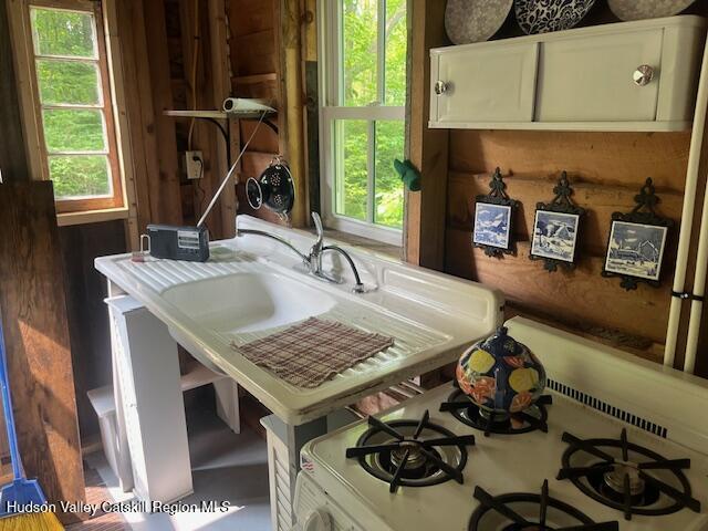 40 N Mountain, Copake Falls, NY 12517 - dining space featuring plenty of natural light