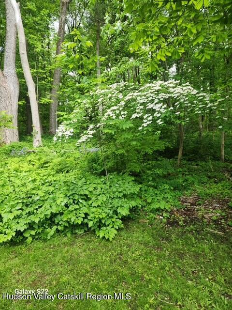 40 N Mountain, Copake Falls, NY 12517 - view of nature