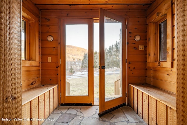 entryway featuring a healthy amount of sunlight, a mountain view, and wood walls