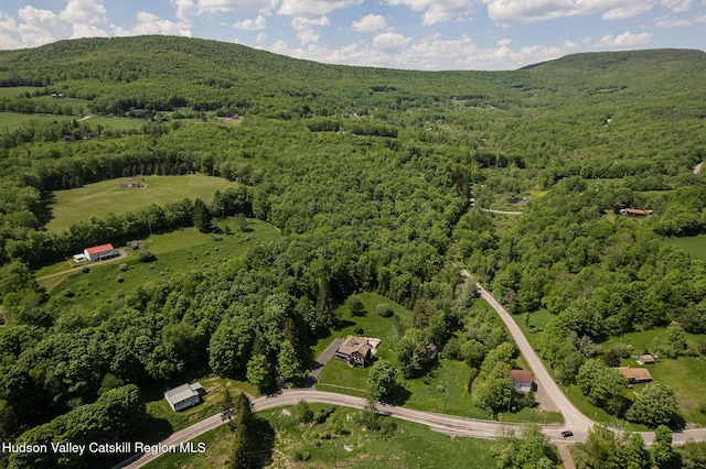 aerial view featuring a mountain view and a wooded view