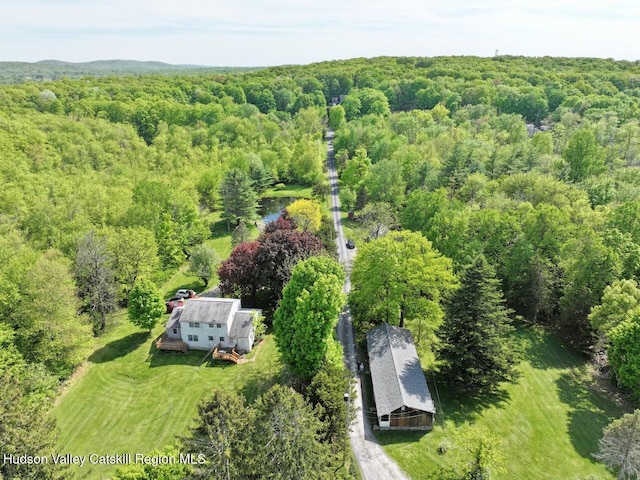 420 Crescent Ave, Highland, NY 12528 - view from above of property with a forest