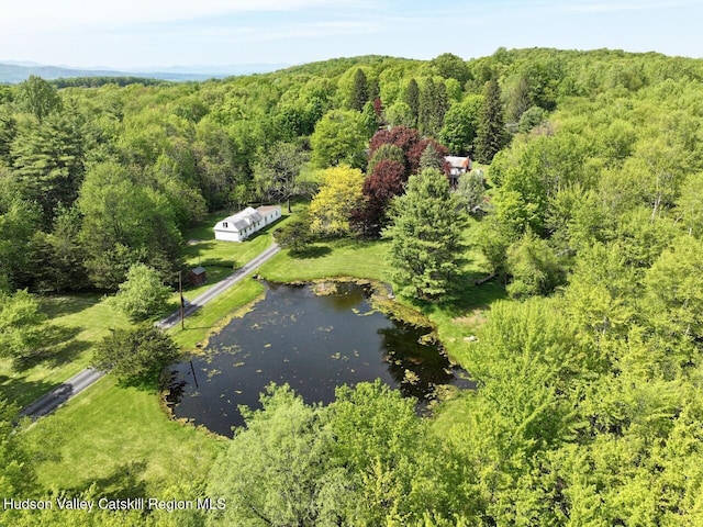 420 Crescent Ave, Highland, NY 12528 - bird's eye view of a nearby body of water and a forest