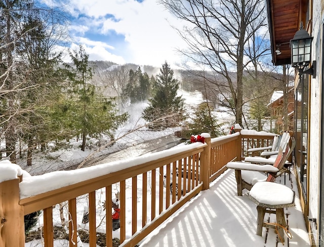 90 Club Rd, Windham, NY 12496 - snow covered back of property with a mountain view