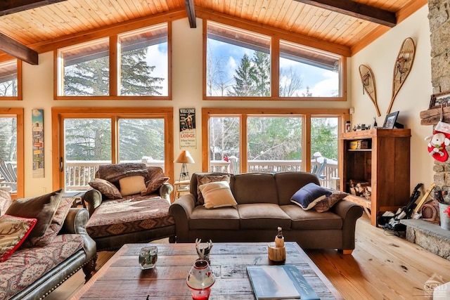 90 Club Rd, Windham, NY 12496 - living room featuring hardwood / wood-style floors, beamed ceiling, healthy amount of natural light, wooden ceiling, and high vaulted ceiling