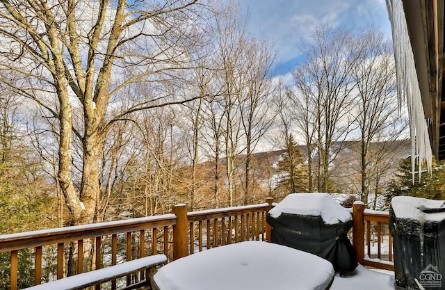 90 Club Rd, Windham, NY 12496 - view of snow covered deck