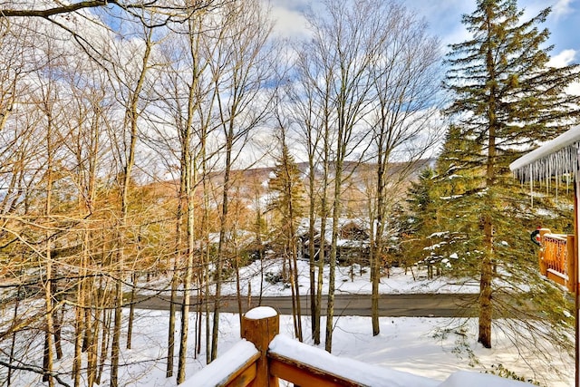 90 Club Rd, Windham, NY 12496 - view of yard covered in snow