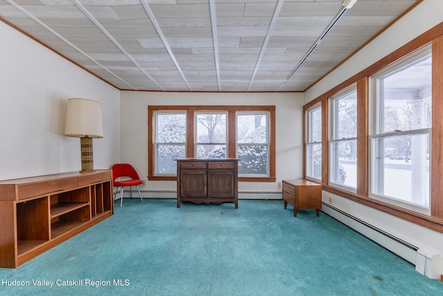 living area with a healthy amount of sunlight, baseboard heating, and carpet