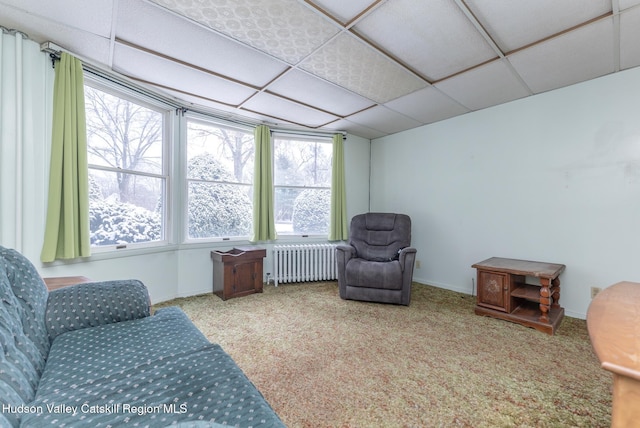 sitting room with plenty of natural light, a paneled ceiling, radiator heating unit, and light carpet