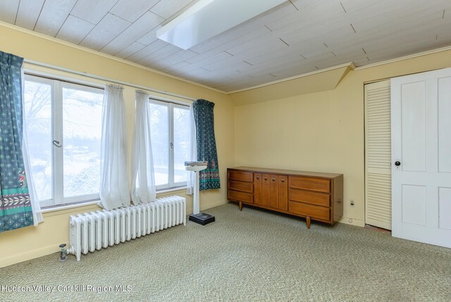 interior space featuring a healthy amount of sunlight, light colored carpet, radiator, and wooden ceiling