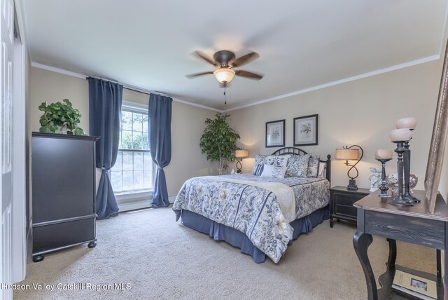 157 Hillside Ter, Kingston, NY 12401 - bedroom with carpet floors, ornamental molding, and a ceiling fan