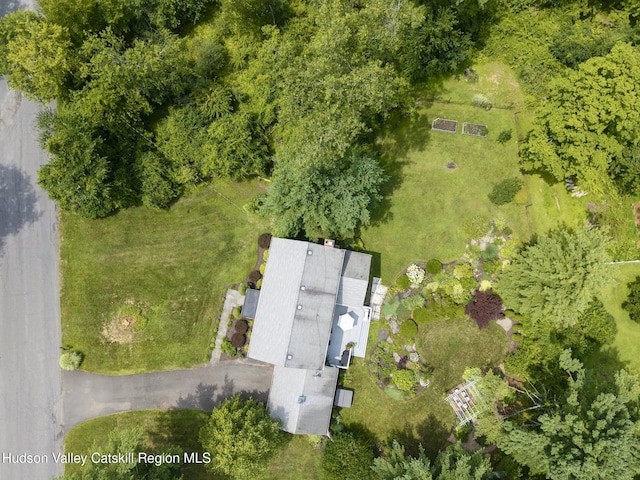 157 Hillside Ter, Kingston, NY 12401 - drone / aerial view