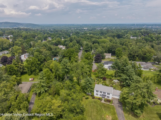 157 Hillside Ter, Kingston, NY 12401 - bird's eye view of a heavily wooded area
