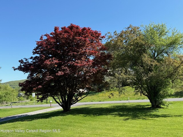 201 Beilke Rd, Millerton, NY 12546 - photo 15