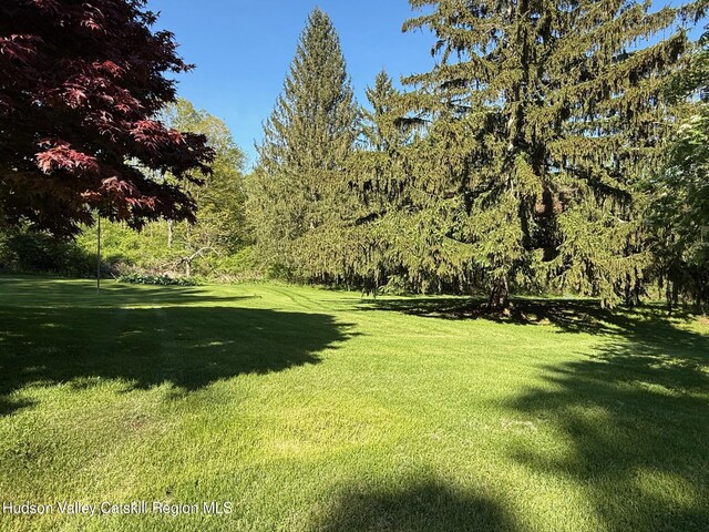 201 Beilke Rd, Millerton, NY 12546 - photo 21