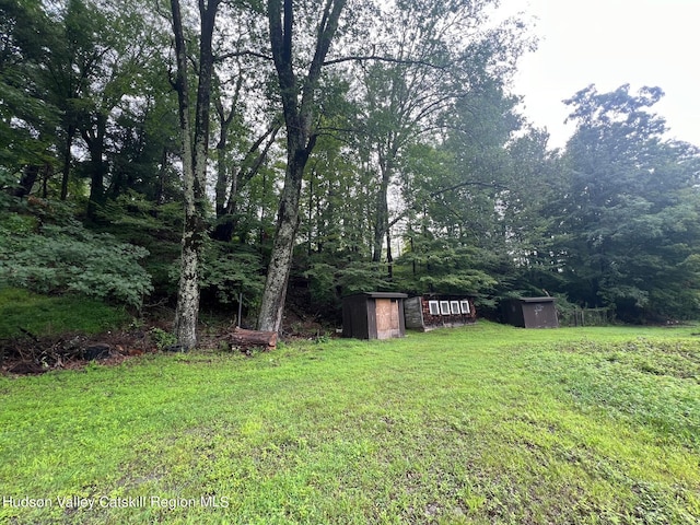 view of yard with a storage unit