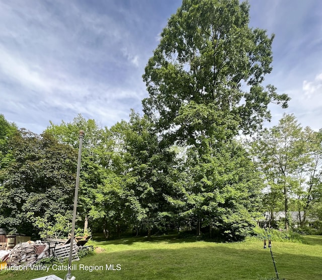 24 Rt 217, Hudson, NY 12534 - photo 24