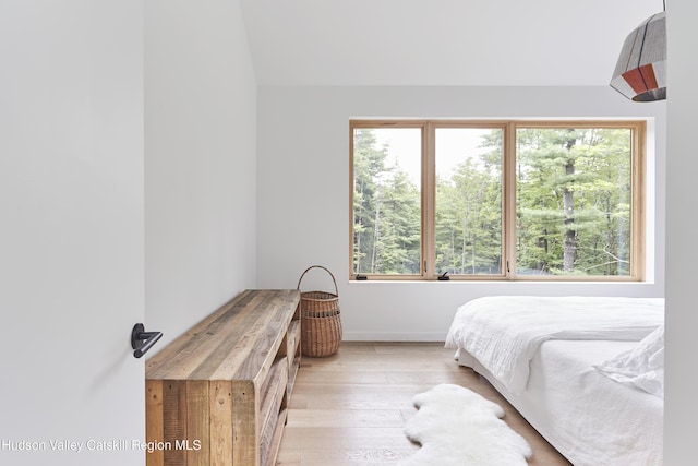 99 Cannon Cir, Woodstock, NY 12498 - bedroom featuring wood finished floors, multiple windows, and baseboards