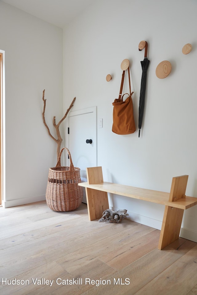 99 Cannon Cir, Woodstock, NY 12498 - mudroom featuring wood finished floors