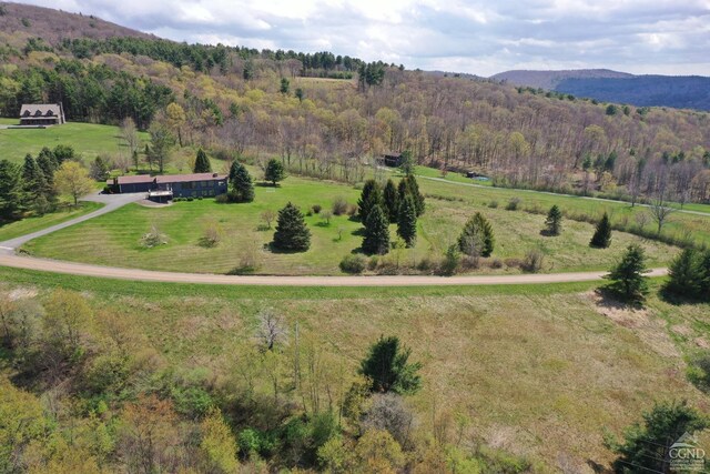 54 Mercer Mountain Rd, East Chatham, NY 12060 - photo 11