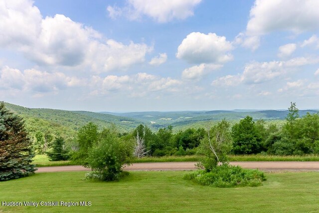 54 Mercer Mountain Rd, East Chatham, NY 12060 - photo 12