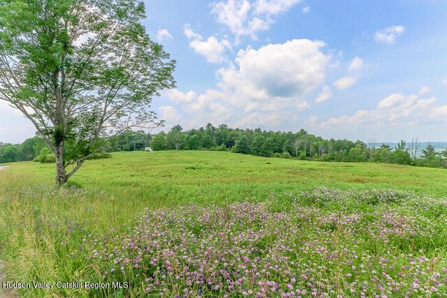 54 Mercer Mountain Rd, East Chatham, NY 12060 - photo 15